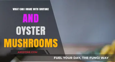 Delicious Shiitake and Oyster Mushroom Recipes to Try at Home