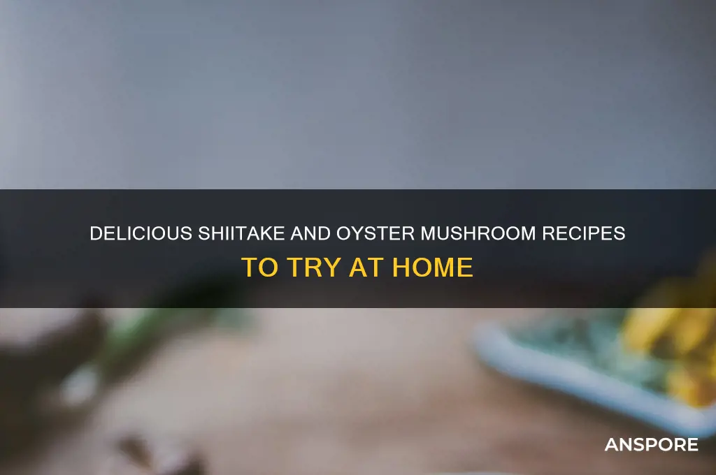 what can i make with shiitake and oyster mushrooms