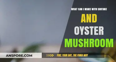 Delicious Recipes: Creative Dishes Using Shiitake and Oyster Mushrooms