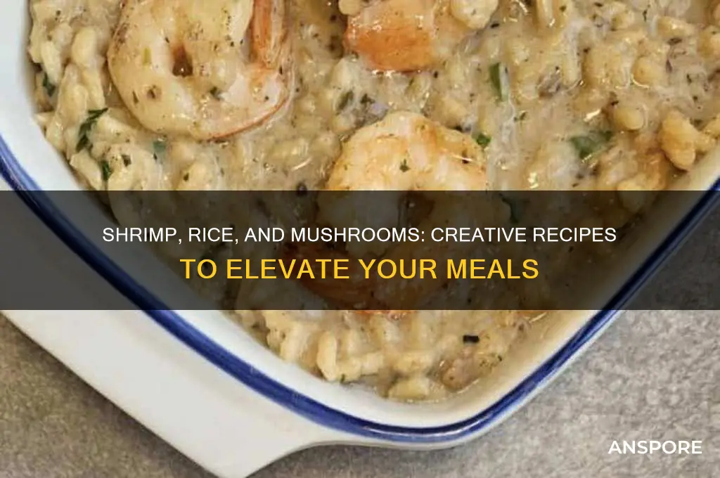 what can i make with shrimp rice mushrooms