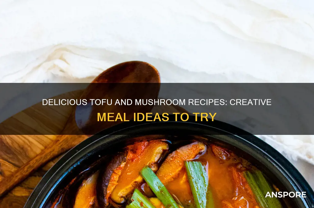 what can i make with tofu and mushrooms