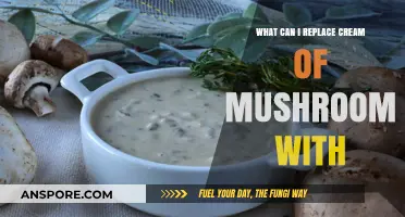 Cream of Mushroom Alternatives: Healthy and Flavorful Substitutes to Try