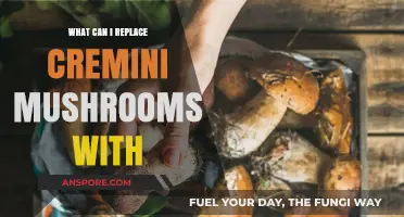 Perfect Substitutes for Cremini Mushrooms in Any Recipe You Love