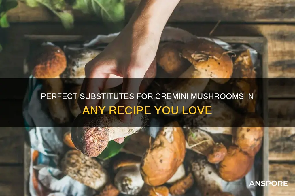 what can i replace cremini mushrooms with
