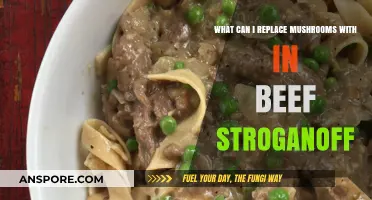 Mushroom-Free Beef Stroganoff: Tasty Alternatives to Elevate Your Dish