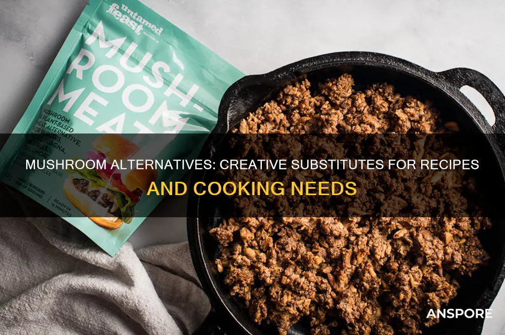 what can i replace mushrooms with