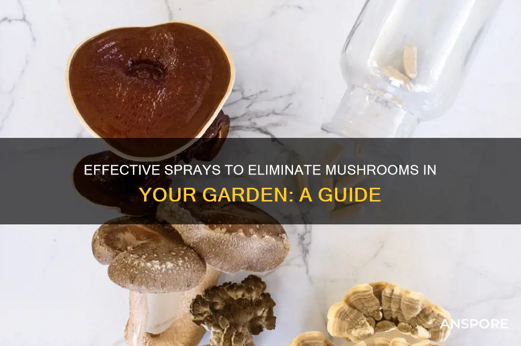 what can i spray on mushrooms to kill them