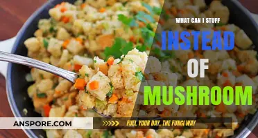 Creative Mushroom Alternatives: Delicious Stuffing Ideas to Try Today