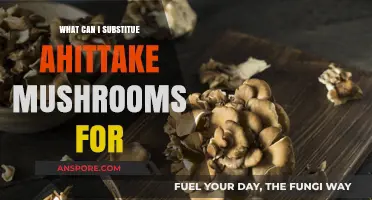Perfect Substitutes for Maitake Mushrooms in Any Recipe: A Guide