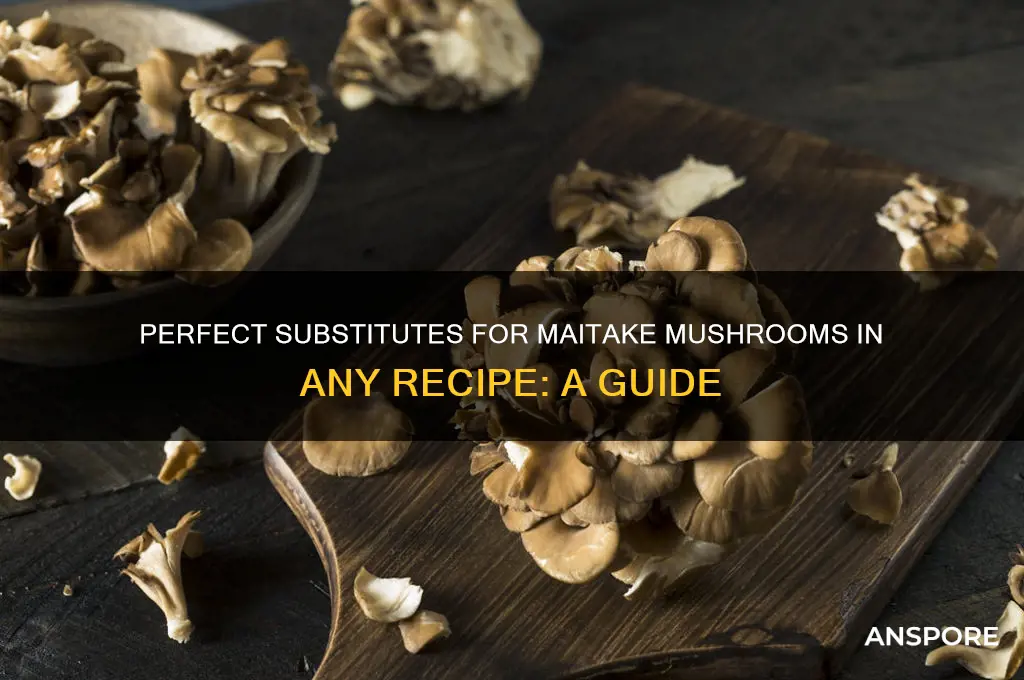 what can i substitue ahittake mushrooms for