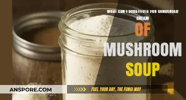 Creamy Alternatives: Best Substitutes for Condensed Cream of Mushroom Soup