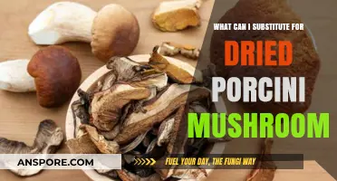 Porcini Alternatives: Best Substitutes for Dried Porcini Mushrooms in Recipes