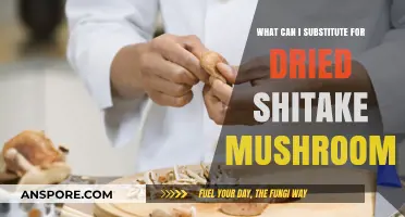 Perfect Substitutes for Dried Shiitake Mushrooms in Your Recipes
