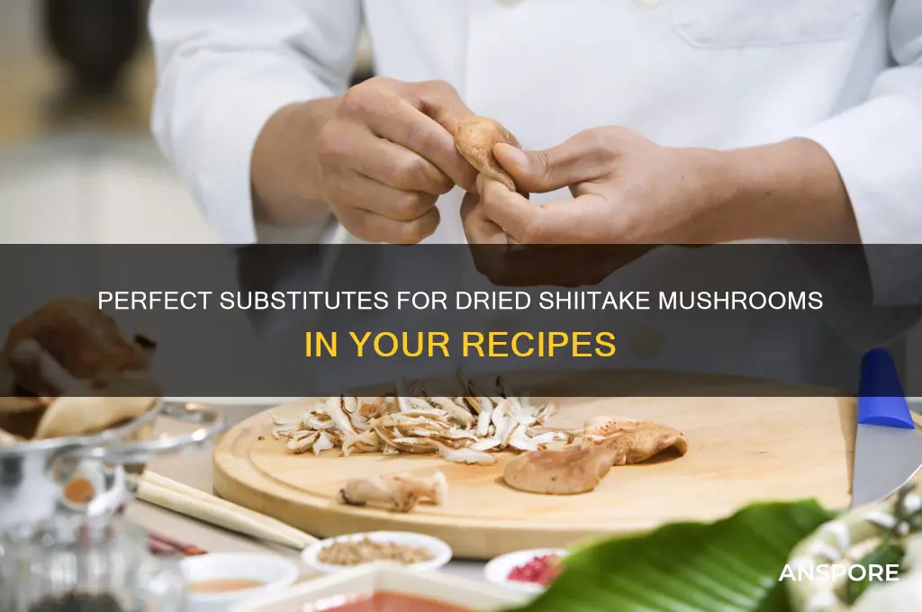 what can i substitute for dried shitake mushrooms