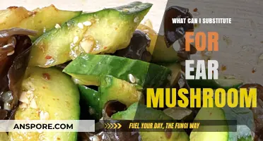 Creative Ear Mushroom Substitutes: Enhance Your Dishes with These Alternatives