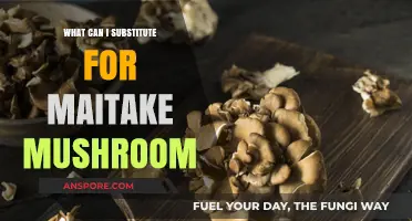 Maitake Mushroom Alternatives: Best Substitutes for Flavor and Texture