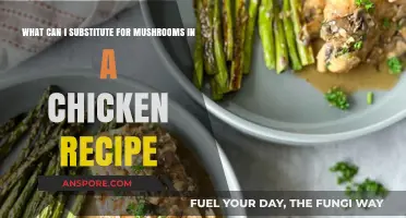 Mushroom-Free Chicken Recipes: Tasty Substitutes to Try Tonight