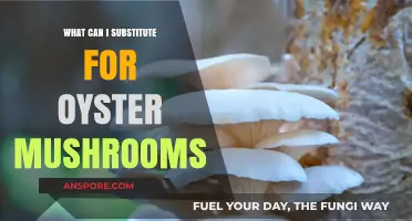 Delicious Oyster Mushroom Substitutes: Elevate Your Dishes with These Alternatives
