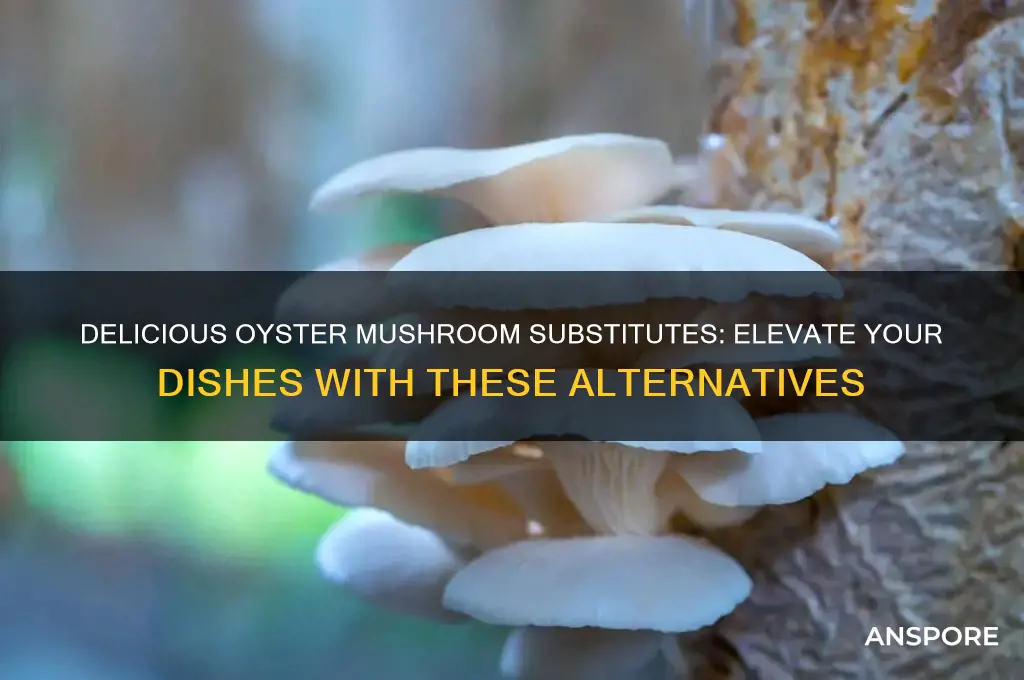 what can i substitute for oyster mushrooms