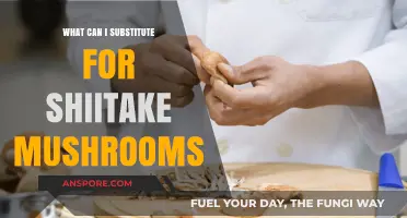 Shiitake Substitutes: Best Alternatives for Flavor and Texture in Recipes