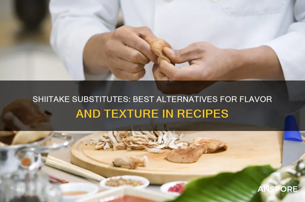 what can i substitute for shiitake mushrooms