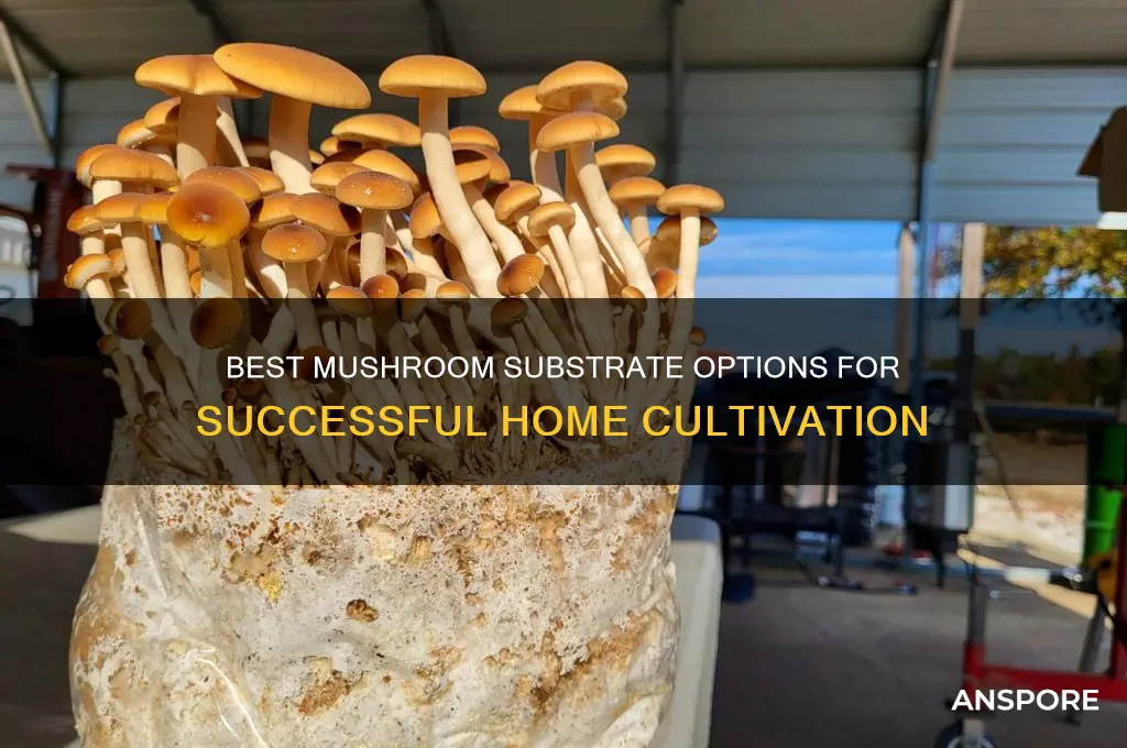 what can i use as a mushroom substrate