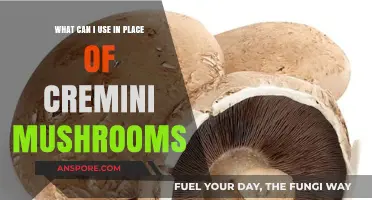 Delicious Cremini Mushroom Substitutes for Your Favorite Recipes