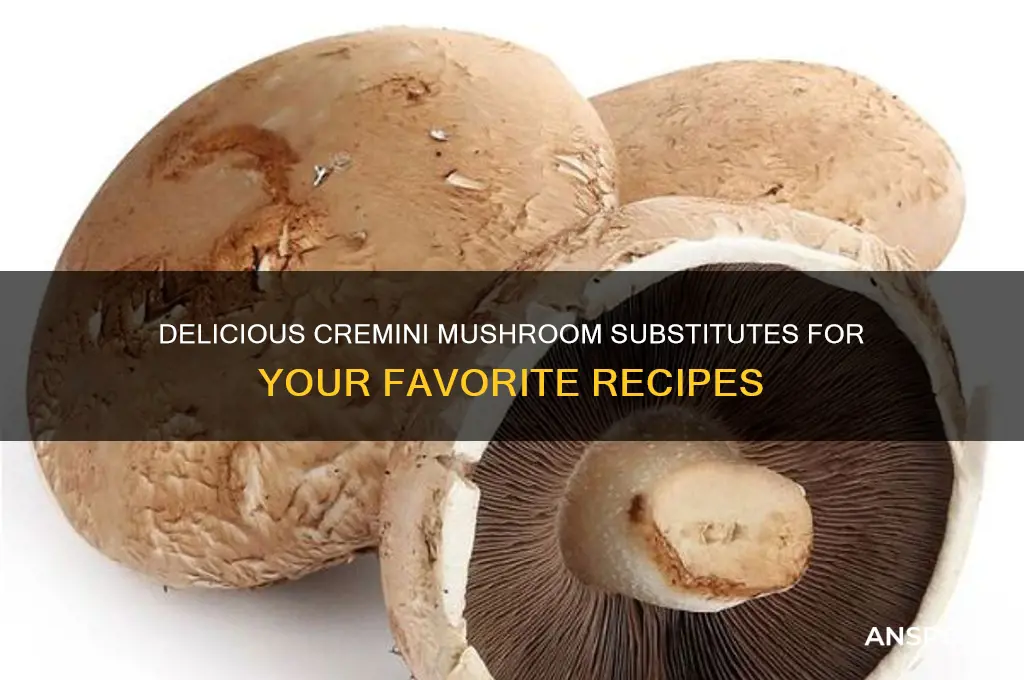 what can i use in place of cremini mushrooms