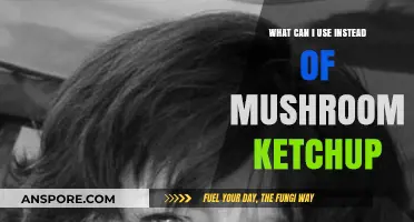 Mushroom Ketchup Alternatives: Creative Substitutes for Unique Flavor Profiles