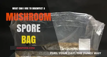 Effective Disinfectants for Sterilizing Mushroom Spore Bags Safely and Easily