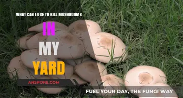 Effective Ways to Eliminate Unwanted Mushrooms in Your Yard