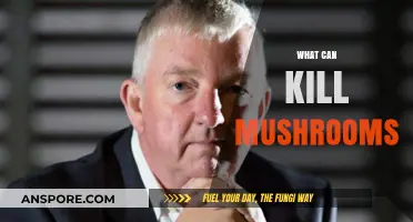 Deadly Threats to Mushrooms: What Can Kill These Fungi Fast?