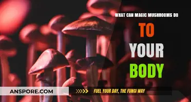 Magic Mushrooms: Unveiling Their Physical and Mental Effects on the Body