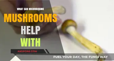 Microdosing Mushrooms: Unlocking Potential Benefits for Mental Health & Focus