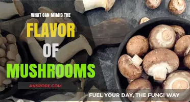 Exploring Mushroom Flavor Substitutes: Surprising Ingredients That Mimic Umami Magic