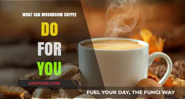 Mushroom Coffee Benefits: Boost Energy, Focus, and Immune Health Naturally