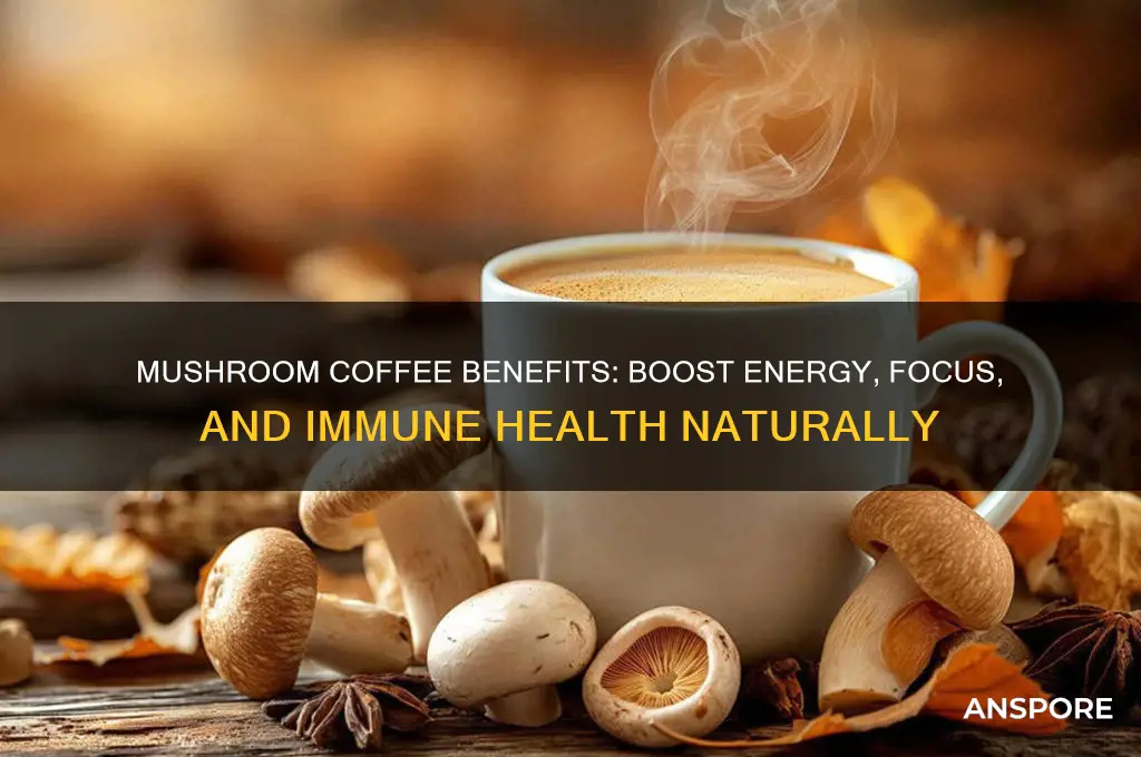 what can mushroom coffee do for you