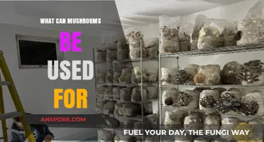 Mushrooms' Versatile Uses: From Culinary Delights to Medicinal Wonders