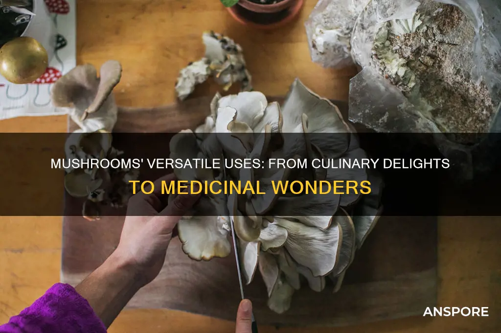 what can mushrooms be used for