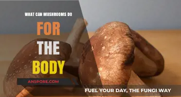 Mushrooms' Surprising Health Benefits: Boosting Immunity, Energy, and Wellness