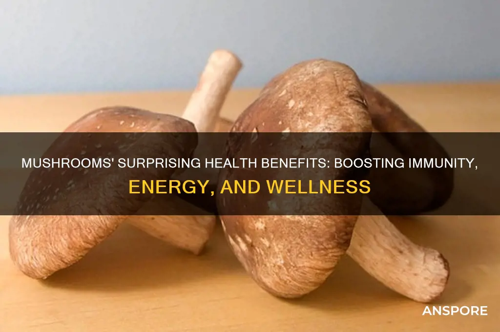 what can mushrooms do for the body