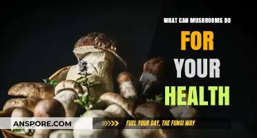 Unlocking Mushroom Magic: Surprising Health Benefits You Need to Know