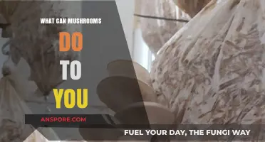 Mushrooms' Surprising Effects: Health, Hallucinations, and Hidden Benefits Explained