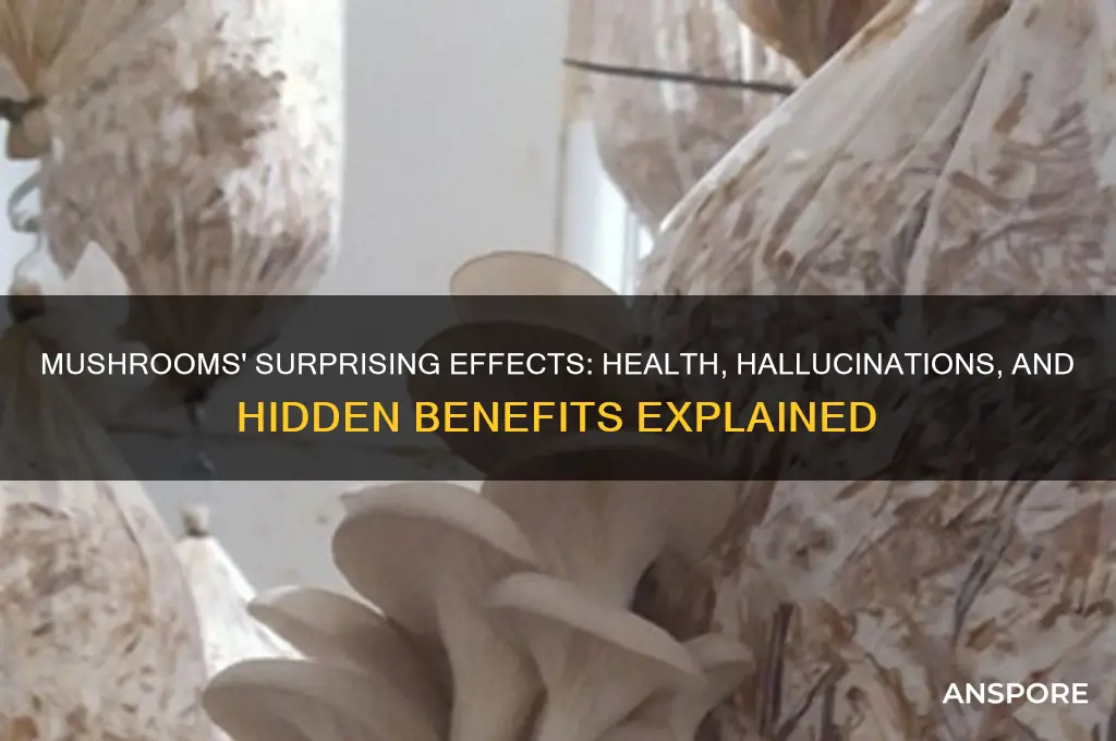 what can mushrooms do to you