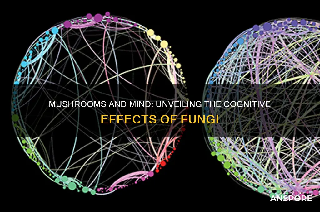 what can mushrooms do to your brain