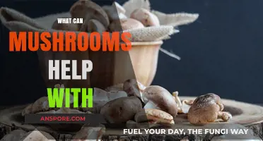 Mushrooms' Surprising Benefits: Health, Immunity, and Beyond Explained