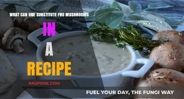 Mushroom-Free Magic: Creative Substitutes for Recipes Without Mushrooms