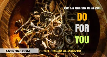 Unlocking Psilocybin's Potential: Benefits, Risks, and Transformative Experiences