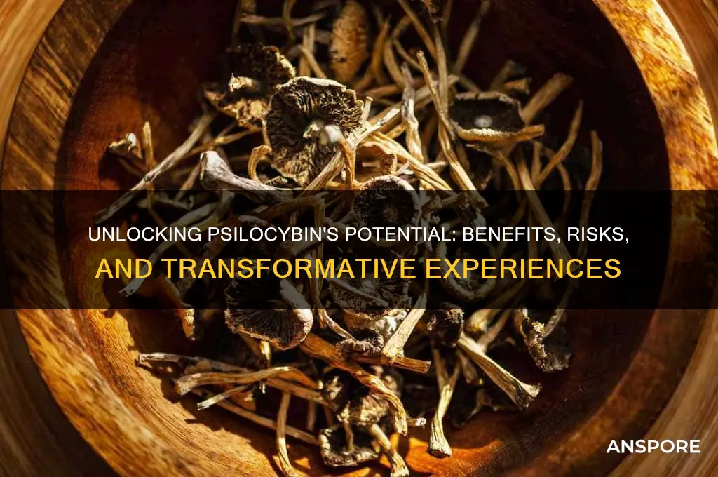 what can psilocybin mushrooms do for you