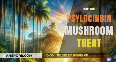 Exploring Psilocybin Mushrooms: Potential Treatments for Mental Health Disorders